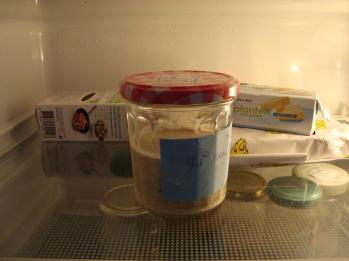 glutenvrij moederdeeg, zuurdesem kun je bewaren in de koelkast 